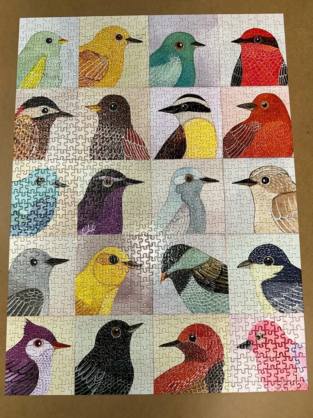 Galison avian friends